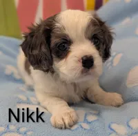 processed/28f404ee-619f-4046-803e-10f394c28ad2/listing/3030f7bb-53db-485f-9bfc-948891717b69/0a4c41a5-03e1-43c2-bf04-473dc857c250