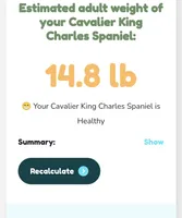 processed/28f404ee-619f-4046-803e-10f394c28ad2/listing/3030f7bb-53db-485f-9bfc-948891717b69/40fd2b37-253a-44e6-a495-b618faea7782