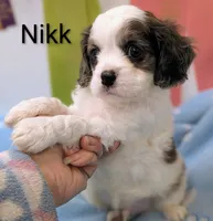 processed/28f404ee-619f-4046-803e-10f394c28ad2/listing/3030f7bb-53db-485f-9bfc-948891717b69/4f1e49c2-1457-4531-8b7e-09afcc4da482