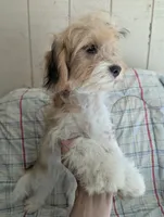 processed/28f404ee-619f-4046-803e-10f394c28ad2/listing/5bc7fb01-4cf9-4667-ae5f-c9714ff31b22/00e0e51f-2238-483c-b9a7-1ef8a4a8b0d8