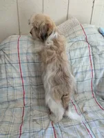 processed/28f404ee-619f-4046-803e-10f394c28ad2/listing/5bc7fb01-4cf9-4667-ae5f-c9714ff31b22/57cf50fd-0cd5-4f8f-9436-a089dafd16fa