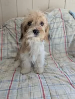 processed/28f404ee-619f-4046-803e-10f394c28ad2/listing/5bc7fb01-4cf9-4667-ae5f-c9714ff31b22/72e1ce96-30e5-43bd-8c2d-c13965ee536e