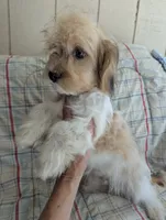 processed/28f404ee-619f-4046-803e-10f394c28ad2/listing/5bc7fb01-4cf9-4667-ae5f-c9714ff31b22/c7156fd3-8872-47c1-b423-ee572394ea4d