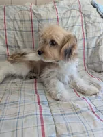 processed/28f404ee-619f-4046-803e-10f394c28ad2/listing/5bc7fb01-4cf9-4667-ae5f-c9714ff31b22/db4820d4-628f-4531-ad6f-7844037fa2ba