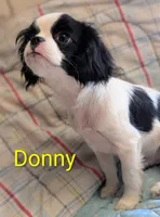 processed/28f404ee-619f-4046-803e-10f394c28ad2/listing/6dbf03da-7e62-434e-9ae0-209e64f22a9c/0406ff28-7839-4de3-b9f3-c200f97d039b