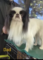 processed/28f404ee-619f-4046-803e-10f394c28ad2/listing/6dbf03da-7e62-434e-9ae0-209e64f22a9c/7e2ce11b-78c1-4235-b00c-6684836047ac