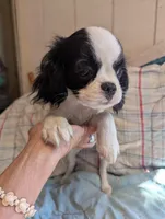 processed/28f404ee-619f-4046-803e-10f394c28ad2/listing/6dbf03da-7e62-434e-9ae0-209e64f22a9c/98645824-5fa8-450c-aefb-9441ec317055