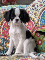 processed/28f404ee-619f-4046-803e-10f394c28ad2/listing/6dbf03da-7e62-434e-9ae0-209e64f22a9c/b30374c6-9dfa-4a22-9b3c-5b9cded5f6f6