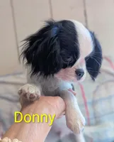 processed/28f404ee-619f-4046-803e-10f394c28ad2/listing/6dbf03da-7e62-434e-9ae0-209e64f22a9c/ce769f8e-c7b9-46d4-846b-160a85706026