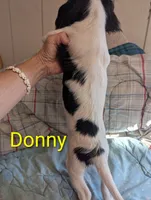 processed/28f404ee-619f-4046-803e-10f394c28ad2/listing/6dbf03da-7e62-434e-9ae0-209e64f22a9c/e4347e62-fd53-4808-a795-4a3b408574b7