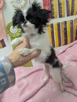 processed/28f404ee-619f-4046-803e-10f394c28ad2/listing/d7c5b5e2-851e-4ea0-b9ef-82b86bab5c30/05db1233-3e05-48c0-9ecc-37b2fbf2989f