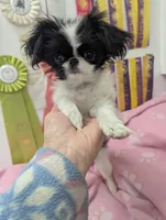 processed/28f404ee-619f-4046-803e-10f394c28ad2/listing/d7c5b5e2-851e-4ea0-b9ef-82b86bab5c30/179efaaa-792c-4b6e-a03b-c62a10a31778