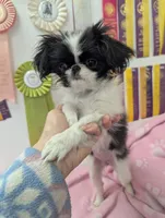 processed/28f404ee-619f-4046-803e-10f394c28ad2/listing/d7c5b5e2-851e-4ea0-b9ef-82b86bab5c30/2a1e21cd-bf57-4149-91db-94b25bfd5149