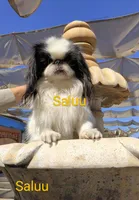 processed/28f404ee-619f-4046-803e-10f394c28ad2/listing/d7c5b5e2-851e-4ea0-b9ef-82b86bab5c30/ede015a5-593e-4cbf-a6e3-9770b13fbc1a