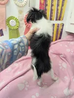 processed/28f404ee-619f-4046-803e-10f394c28ad2/listing/d7c5b5e2-851e-4ea0-b9ef-82b86bab5c30/f26fa147-341d-4590-8b78-34e70b112b37