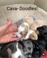 processed/28f404ee-619f-4046-803e-10f394c28ad2/listing/f08c1ae5-eb4d-45e8-9b7f-10ab7ddb3146/10776069-ca55-41c3-8261-7484be896962