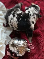 processed/28f69238-c3be-49b3-8953-c2e6718257ef/listing/264fb9e5-22fa-4d47-ac8d-9b57bc247475/08451c35-7c0c-4938-b61a-a344483aa8a9