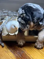 processed/28f69238-c3be-49b3-8953-c2e6718257ef/listing/264fb9e5-22fa-4d47-ac8d-9b57bc247475/5dcbdbc5-1f3f-4580-9d41-ddc6f6c53df3