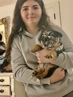 processed/28f69238-c3be-49b3-8953-c2e6718257ef/listing/264fb9e5-22fa-4d47-ac8d-9b57bc247475/7b123ceb-62ba-4ca7-989d-3158f094d661