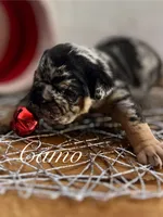 processed/28f69238-c3be-49b3-8953-c2e6718257ef/listing/264fb9e5-22fa-4d47-ac8d-9b57bc247475/995ebaaa-892b-467c-9f3d-6f50b340849b