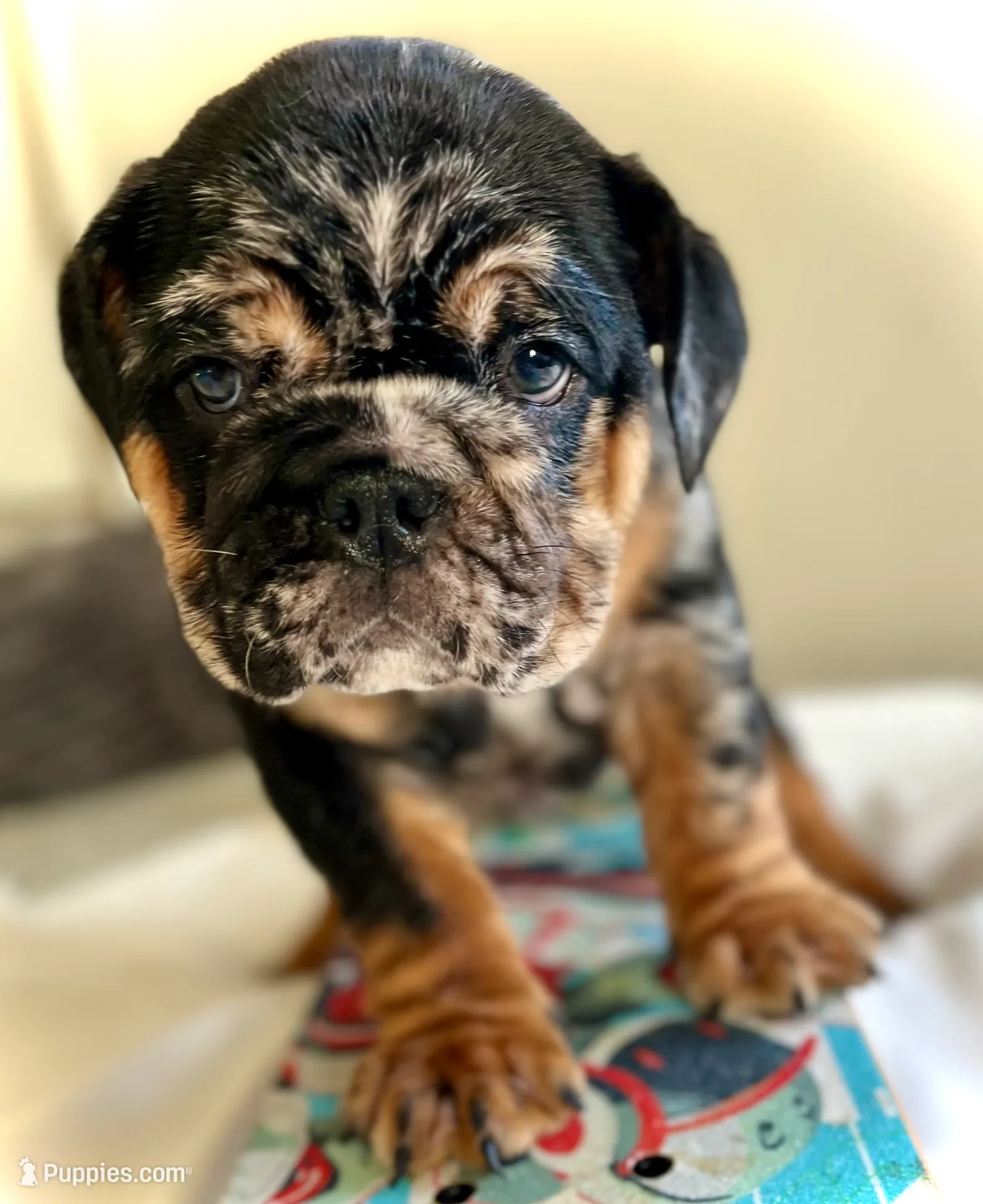 processed/28f69238-c3be-49b3-8953-c2e6718257ef/listing/264fb9e5-22fa-4d47-ac8d-9b57bc247475/a3b45a00-0033-4f8d-8ded-d888652d991f