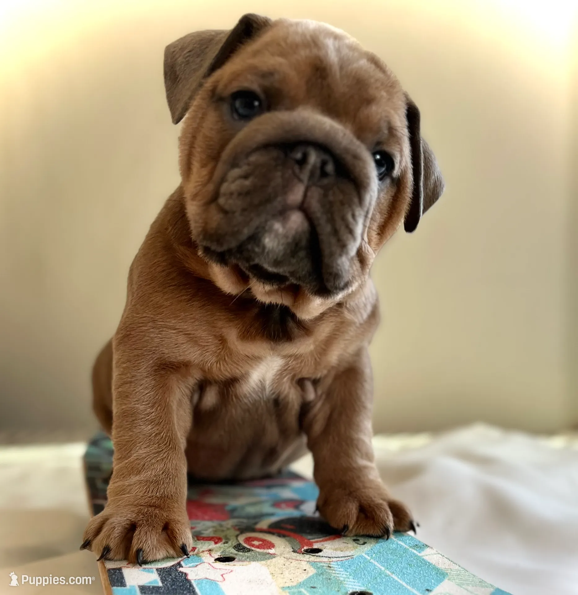 processed/28f69238-c3be-49b3-8953-c2e6718257ef/listing/49dcf56f-65bb-4080-b1cf-865cb71bc19e/4a701257-d7f6-4bb6-a78e-9aab9121e502