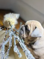 processed/28f69238-c3be-49b3-8953-c2e6718257ef/listing/49dcf56f-65bb-4080-b1cf-865cb71bc19e/742aa14f-6313-40ca-86a7-24247d31c989