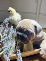 processed/28f69238-c3be-49b3-8953-c2e6718257ef/listing/49dcf56f-65bb-4080-b1cf-865cb71bc19e/8c4778c1-2275-4413-8106-20f1b573bd6c