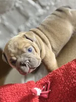 processed/28f69238-c3be-49b3-8953-c2e6718257ef/listing/49dcf56f-65bb-4080-b1cf-865cb71bc19e/e4e3e299-a2fc-4c89-a070-9ab09e9b3bc7