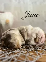 processed/28f69238-c3be-49b3-8953-c2e6718257ef/listing/8cf25eec-b06a-46cf-96a9-df63f9dde25b/03af163f-c7ef-4c35-b3c7-0780a1c4f1d6