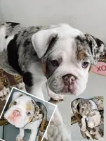 processed/28f69238-c3be-49b3-8953-c2e6718257ef/listing/8cf25eec-b06a-46cf-96a9-df63f9dde25b/3d33bfa7-2537-45f6-8777-c58e907fd329