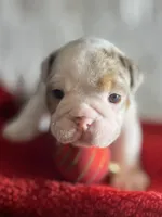 processed/28f69238-c3be-49b3-8953-c2e6718257ef/listing/8cf25eec-b06a-46cf-96a9-df63f9dde25b/79e9f920-54b9-4294-a4a9-e8118d61a089