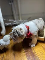 processed/28f69238-c3be-49b3-8953-c2e6718257ef/listing/8cf25eec-b06a-46cf-96a9-df63f9dde25b/7bf44154-4ea9-44e8-bfc8-ab1fc2058838