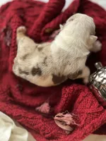 processed/28f69238-c3be-49b3-8953-c2e6718257ef/listing/8cf25eec-b06a-46cf-96a9-df63f9dde25b/ed38d900-063d-47a8-9a74-1679937bd3ae