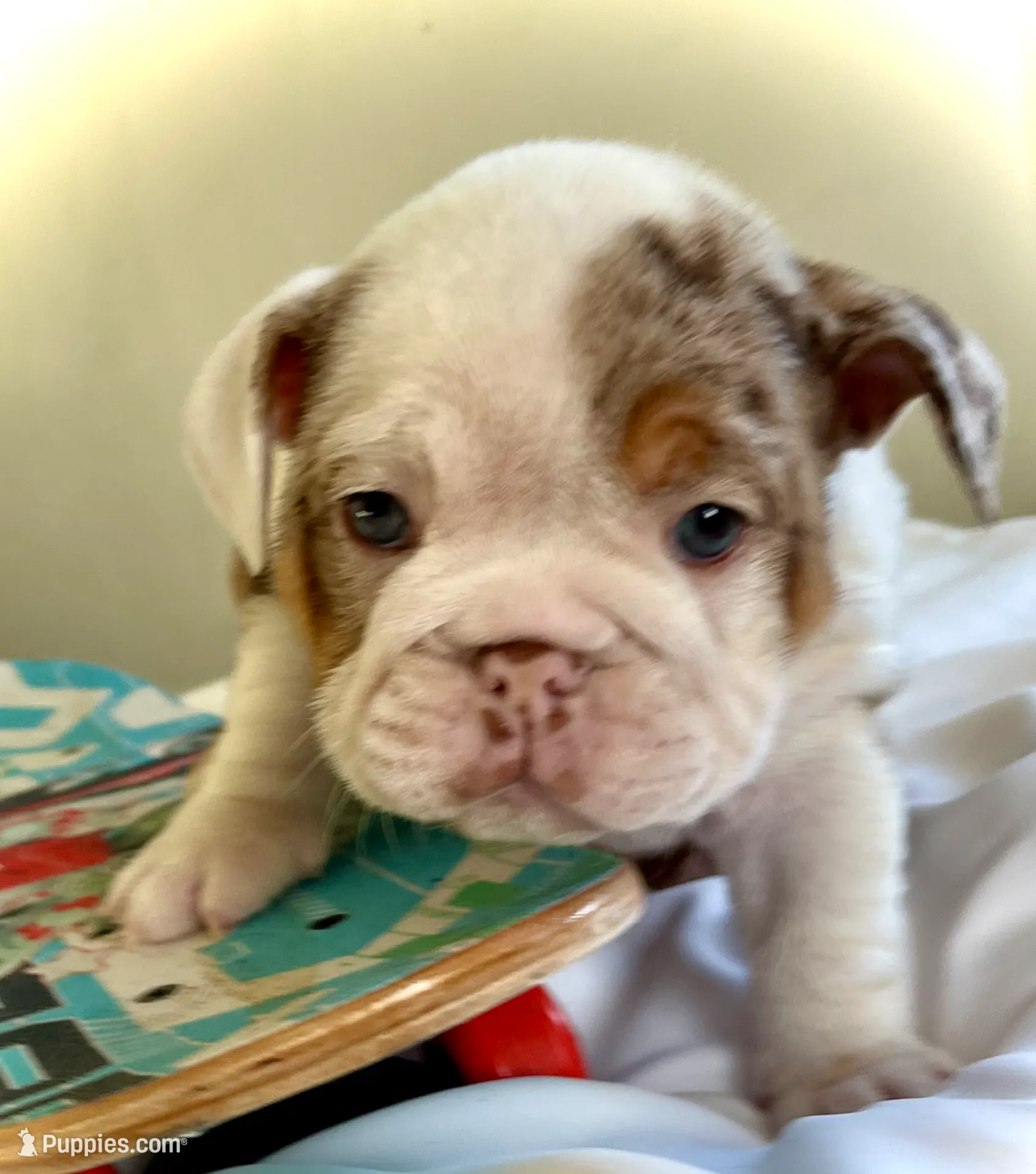 processed/28f69238-c3be-49b3-8953-c2e6718257ef/listing/8cf25eec-b06a-46cf-96a9-df63f9dde25b/f0cb4daa-2070-4ff0-b689-550c0cae1ec8