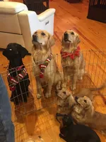 processed/28f88161-73f9-4c1a-bd4b-a51963a24461/facility/2692cdec-db4d-4537-8d8d-6ab339a7d5ca