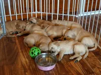 processed/28f88161-73f9-4c1a-bd4b-a51963a24461/facility/47a384e6-f931-44ac-8034-e6a197be2b75