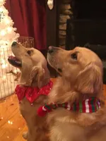 processed/28f88161-73f9-4c1a-bd4b-a51963a24461/facility/e51b9c0e-0bf3-43e6-adcb-4003e9a0f2b0