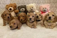 processed/28f88161-73f9-4c1a-bd4b-a51963a24461/facility/fe5b3301-c3a6-440c-a8d7-e9de03cc9191