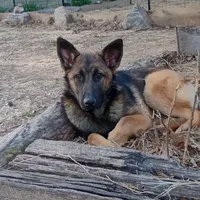 processed/290b8e79-18d5-4c9d-ab2c-21c7fae8e13a/facility/4919436e-5f9d-45d3-b0f2-69ae2895a02e