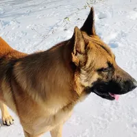 processed/290b8e79-18d5-4c9d-ab2c-21c7fae8e13a/facility/7861df93-e5c6-42ba-bc36-4b03032a7cac