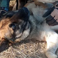 processed/290b8e79-18d5-4c9d-ab2c-21c7fae8e13a/facility/85910bca-da6c-41c7-b8c5-9e94eae54e95