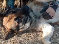 processed/290b8e79-18d5-4c9d-ab2c-21c7fae8e13a/facility/85910bca-da6c-41c7-b8c5-9e94eae54e95