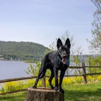 processed/290b8e79-18d5-4c9d-ab2c-21c7fae8e13a/facility/8936cf8f-9b0f-4086-935e-3ff6392c6b1b