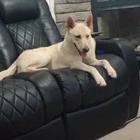 processed/290b8e79-18d5-4c9d-ab2c-21c7fae8e13a/facility/a52d5dab-94cf-4a86-b2a9-09f9ecee2dc9