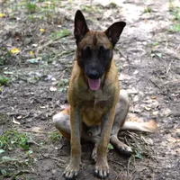 processed/290b8e79-18d5-4c9d-ab2c-21c7fae8e13a/facility/b7584dab-d482-4022-ace0-48f14bcd4375