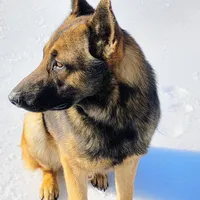 processed/290b8e79-18d5-4c9d-ab2c-21c7fae8e13a/facility/c1578178-09e2-43b3-a197-1d00d52f83ec