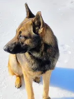 processed/290b8e79-18d5-4c9d-ab2c-21c7fae8e13a/facility/c1578178-09e2-43b3-a197-1d00d52f83ec