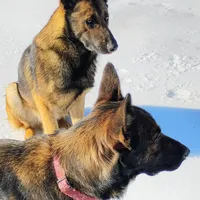 processed/290b8e79-18d5-4c9d-ab2c-21c7fae8e13a/facility/c33aa53f-6418-4020-a971-917fd38f7023