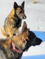 processed/290b8e79-18d5-4c9d-ab2c-21c7fae8e13a/facility/c33aa53f-6418-4020-a971-917fd38f7023